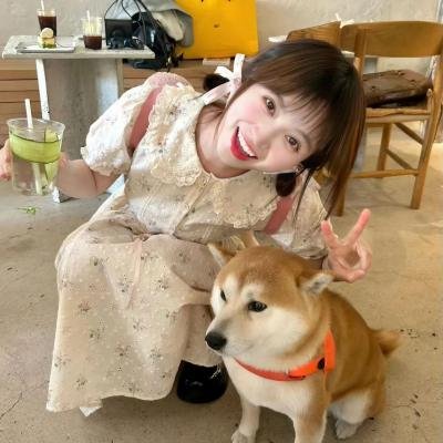 鲱云海报