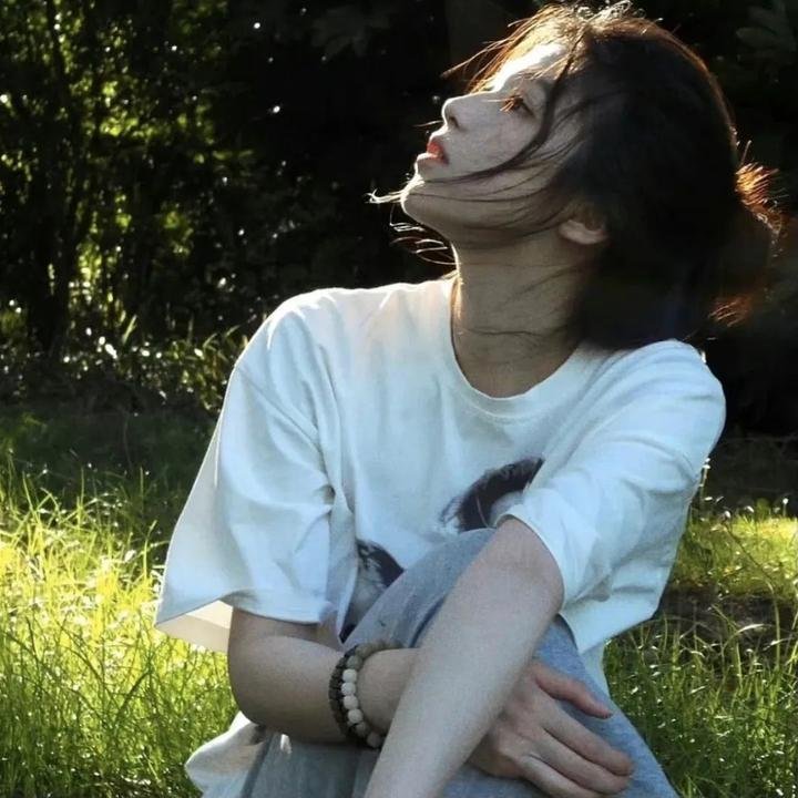 美景不可及海报