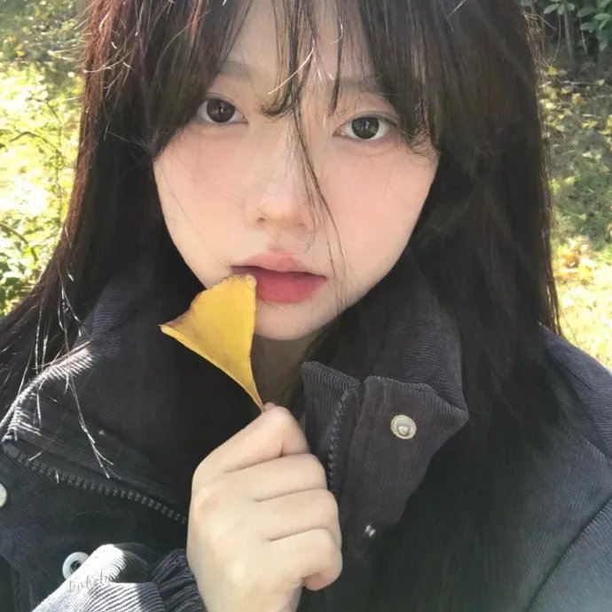 穿风信子蓝的少女海报